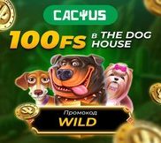 Cactus casino промокод — »WILD» июнь 2025